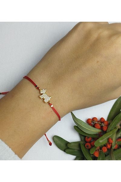Bella Sera Studio Red Rope Dog Bracelet