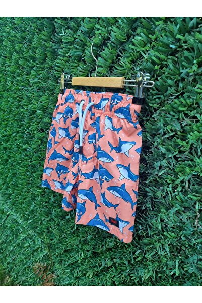 Kitti Boy's Swim Shorts with Dog Fish