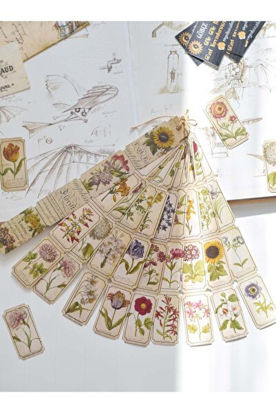 Scrapbook Florist Retro Şerit Sticker Kitap / Vintage Bilet Çıkartma / Scrapb...