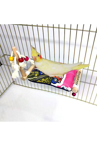 aliceshop Sultan Sevda Parrot of Paradise - Lovebird and Birds in Sizes Are Suitable