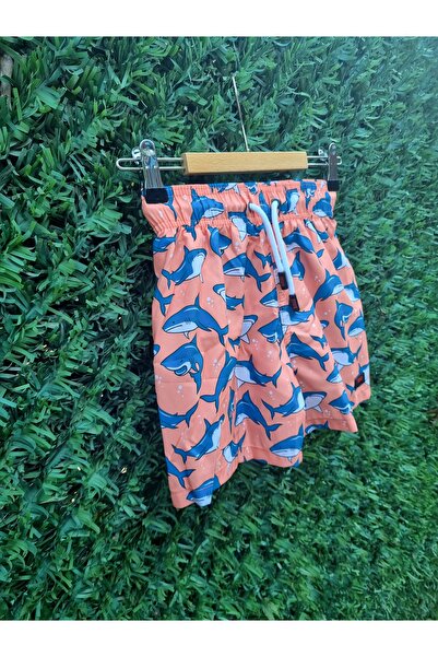 Kitti Boy's Swim Shorts with Dog Fish