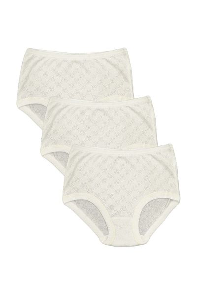 FSM1453 Women's Cotton Transfer Ribana Bato High Waist Elastic Slip Panties 6-Piece - 3009
