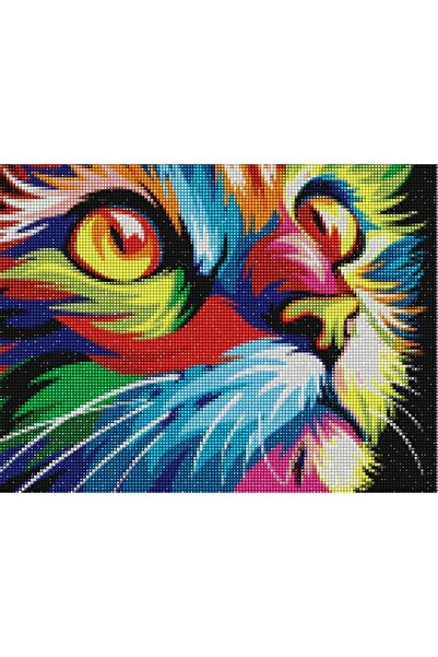MAXİ Renkli Kedi - Diamond Painting, Elmaslı Goblen, Mozaik Tablo, Elmas, Boncuk, Taş Işleme 40 X 30cm