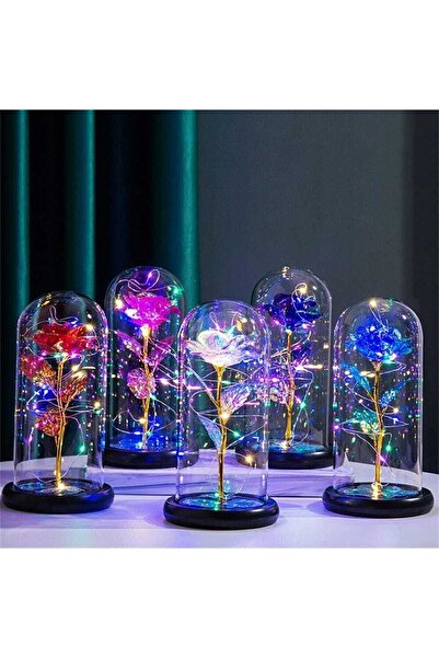 BYSHOPPİNG Dekoratif Işıklı Fanus, Hediye, Işıklı Fanusta Gül, Hediyelik - Sevgili, Kırmızı Sonsuzluk Gülü