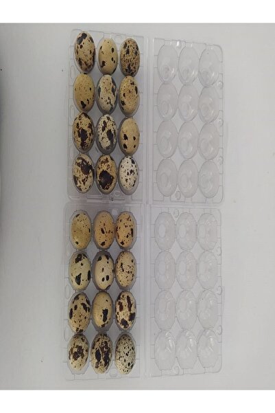 KARAHİSAR KULUÇKA Kuluçkalık 24 Lü Bıldırcın Yumurtası(teksas)