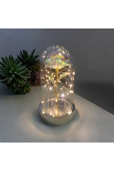 HKM Hobim Sevgililer Ve Anneler Gününe Özel, Dekoratif Solmayan Sonsuzluk Gül...