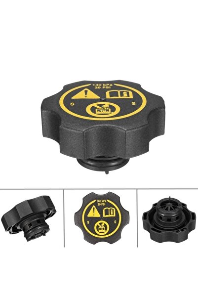 GM Chevrolet Aveo 2012 Uyumlu Yedek Su Depo Kapağı 13502353