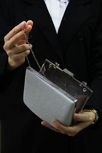 ROZA CANTA Γυναικείο βραδινό φόρεμα Silver Glitter, Clutch βραδινή τσάντα