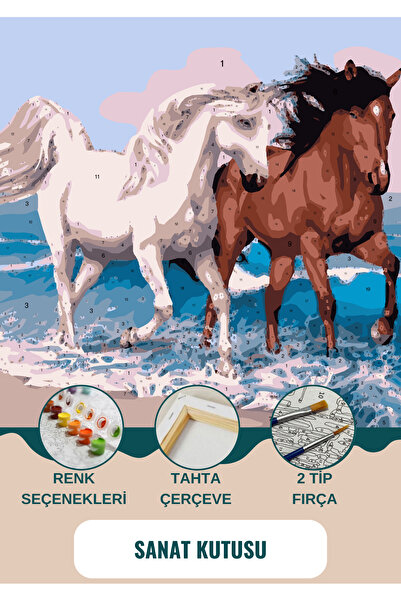 SANAT Sayılarla Boyama & Hobi Seti - Fırça Boya Duvara Asma Aparatı Dahil 40x...