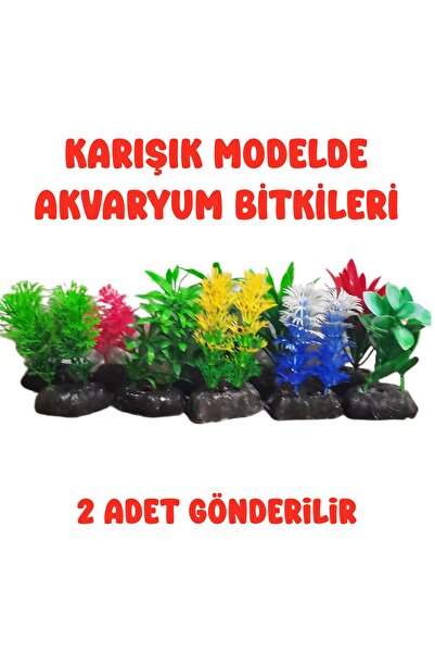 Akvaryum Bitkisi (Küçük Boy ) 2 Adet Gönderilir ( Karışık Modelde Gönderilir )