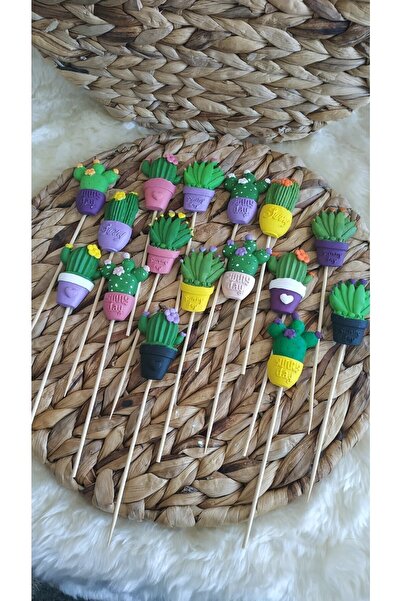 evdeki atölyem 5li Kaktüs Saksı Süsü