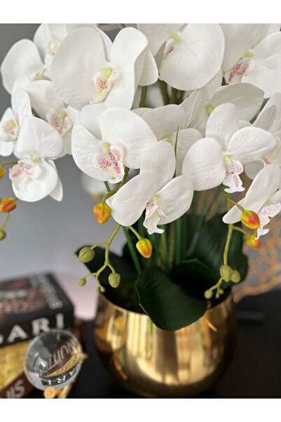 LİLOTEHOME 6 DAL ISLAK ORKİDE ARANJMAN JAPON MODEL SAKSIDA Beyaz