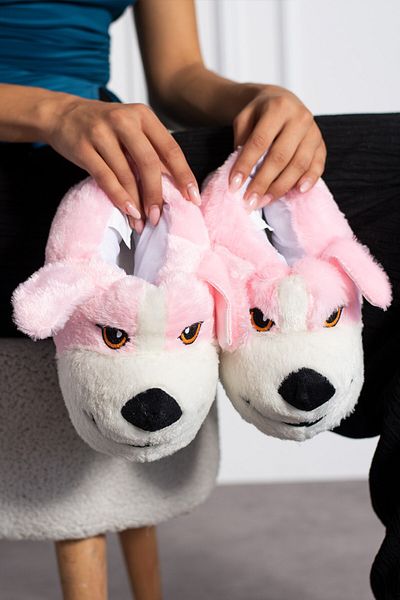 AlbiShoes Χειμερινές βελούδινες μπότες για το σπίτι με χαριτωμένη φιγούρα σκύλου - Παντόφλες μαλακής σόλας (30-40)