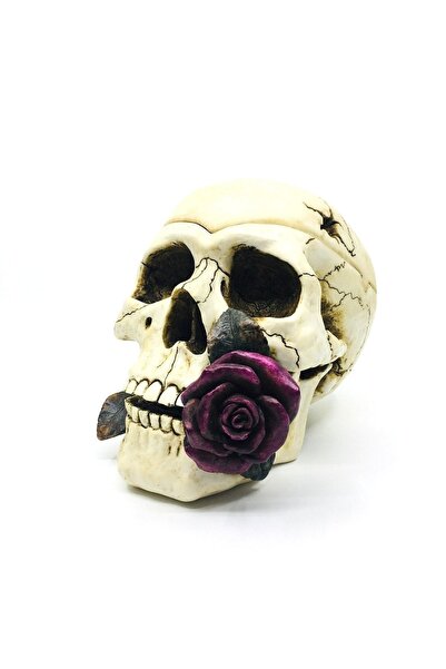 Tüterler Kurukafa Kapaklı Dekoratif Küllük | Dekoratif Kül Tablası | Ev Dekor...