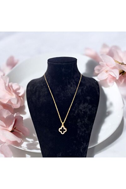 La Passion Bijoux Yonca Motifli ve Taşlı Çelik Kolye