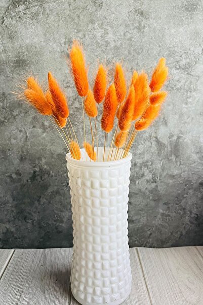 Goya Home Turuncu Renkli Kurutulmuş Pamuk Otu, Tavşan Kuyruğu Gelin Buketi Ar...