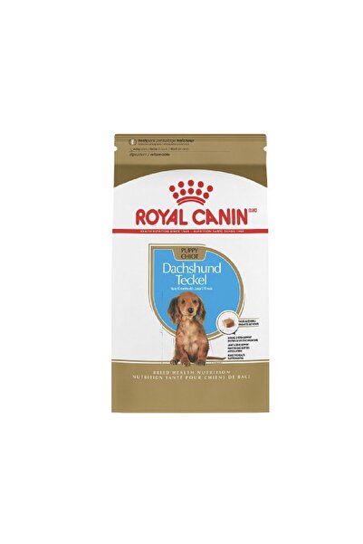 Royal Canin طعام جاف للكلاب الصغيرة من سلالة داشهند (حتى 10 أشهر)، 1.5 كجم
