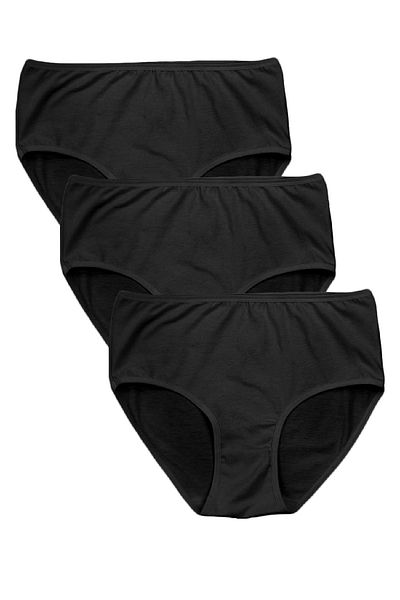 FSM1453 Γυναικεία εσώρουχα βαμβακερά Bato Yükesk Waist Piping Slip Lycra 3 τεμαχίων -3055