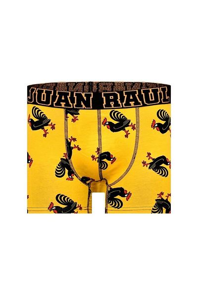 Juan Raul Ανδρικά Boxers με σχέδια 10 Συσκευασία
