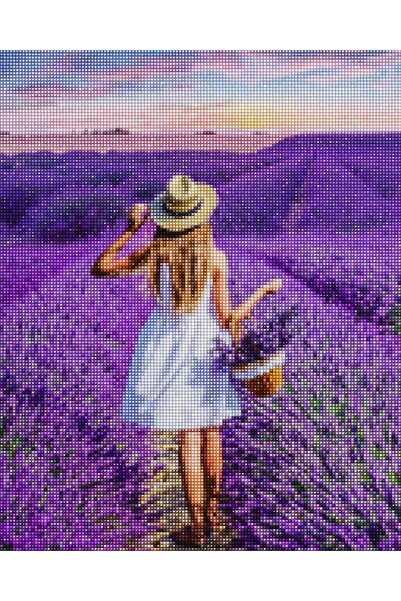 MAXİ Lavanta Bahçesi - Diamond Painting, Elmaslı Goblen, Mozaik Tablo, Elmas, Boncuk, Taş Işleme 40x50cm