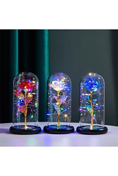 BYSHOPPİNG Dekoratif Işıklı Fanus, Hediye, Işıklı Fanusta Gül, Hediyelik - Sevgili, Kırmızı Sonsuzluk Gülü