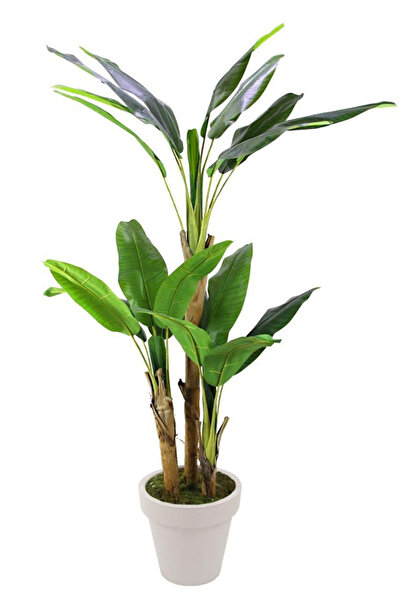 Dekorsende Yapay Muz Ağacı 200 Cm