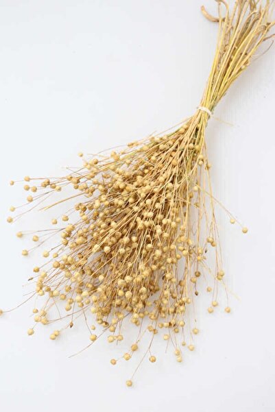 EFİRAZ زهرة الكتان الجافة زخرفة زهرية ترتيب الزهور