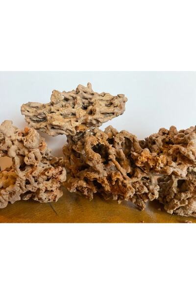 Lorien Spaghetti Kayası 6-12 Cm, Doğal Makarna Kayası, Delikli Akvaryum Ve Bahçe Dekorasyon Taşı
