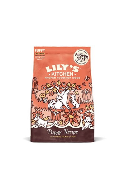 Lily's Kitchen Puppy Recipe with Chicken, Salmon & Peas Dry Food , 1kg
