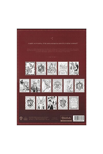 Harry Potter Poster Boyama Boyama Kitabı
