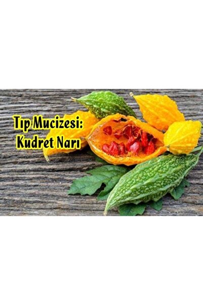 Mindivan Kudret Narı Zeytinyağlı 300 gr Macun