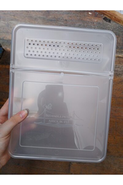 istanbul petek Kutu Arı Şerbetliği