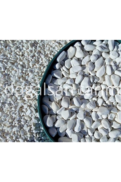 Doğalsan Tarım Beyaz Dolomit Taş 2 Kg 2-4 Cm Dere Taşı Çakıl Taşı Saksı Taşı ...