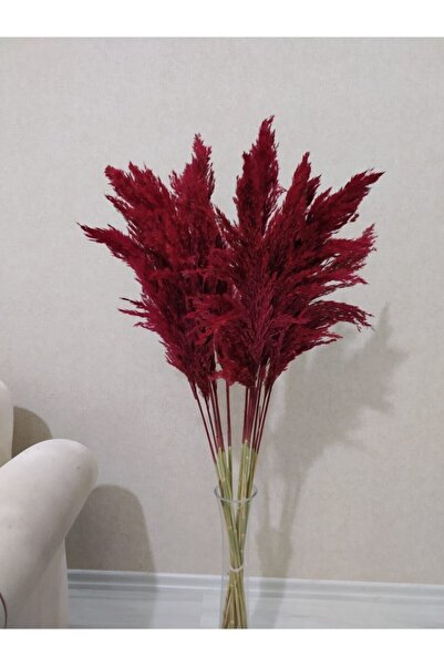 partidekor Fuşya Pampas (dolgun Kafa) 10 Lu 100 cm