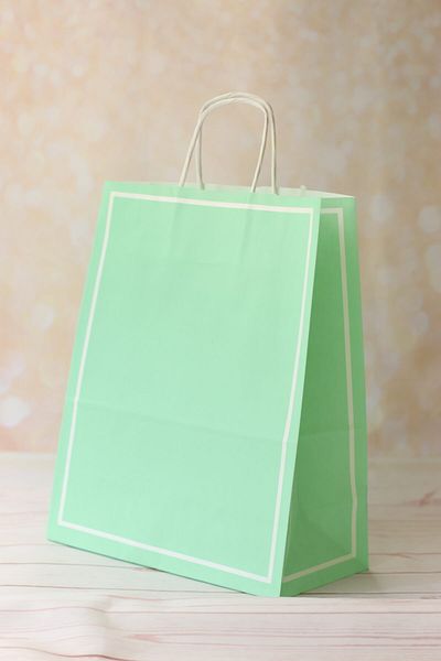 demontecraft Paper Bag, Macaron Green 25x12x31 Cm Gift Bag with Twist Handle, Pack of 5
