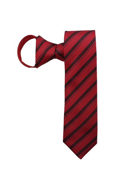 PROKRAVAT Striped Zippered Tie