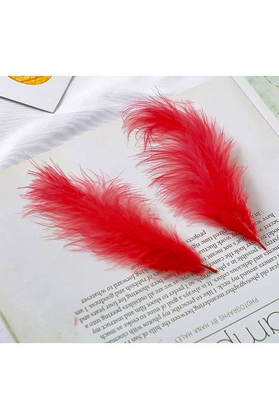 Kuzey 400 Pcs Decor Red Kirmaç Feather - Transparent Balloon Feather Ornament Feather