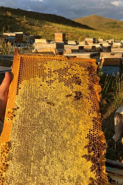 Köyden Gelsin Petek Balı 1100 gr
