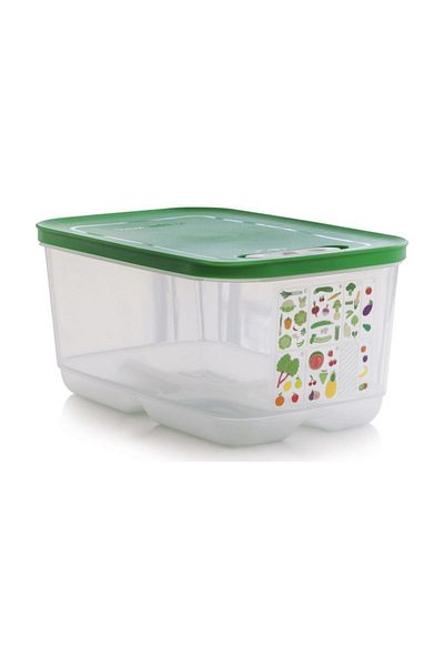 Tupperware Greenhouse 4Storage Container 4 Lt