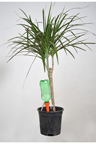 ELEKTROTECHNO Çiçek Sulama Aparatı