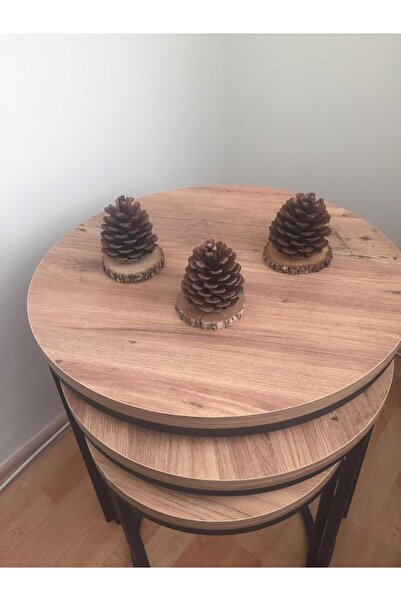 DATAD Doğal Çam Kozalağı-Yılbaşı Süsü Ve Masa-Sehpa Dekoru 5-15cm Aralığında-...