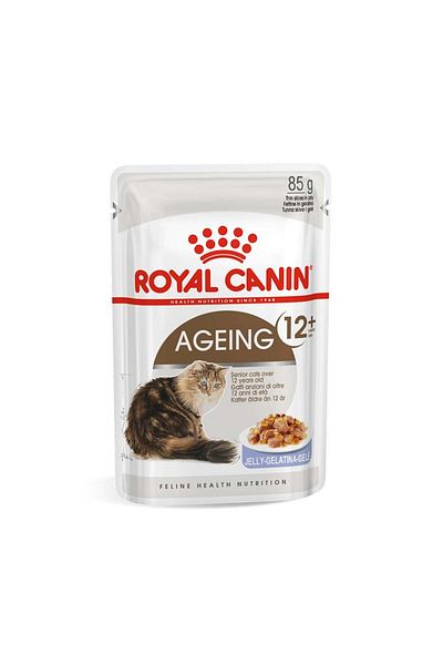 Royal Canin Feline Health Nutrition Aging 12+ Jelly Cat Food Pouch - 85g - Pack of 12