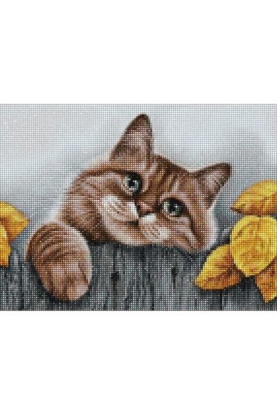 MAXİ Köydeki Kedi - Diamond Painting, Elmaslı Goblen, Mozaik Tablo, Elmas, Boncuk, Taş Işleme 40 X 30cm