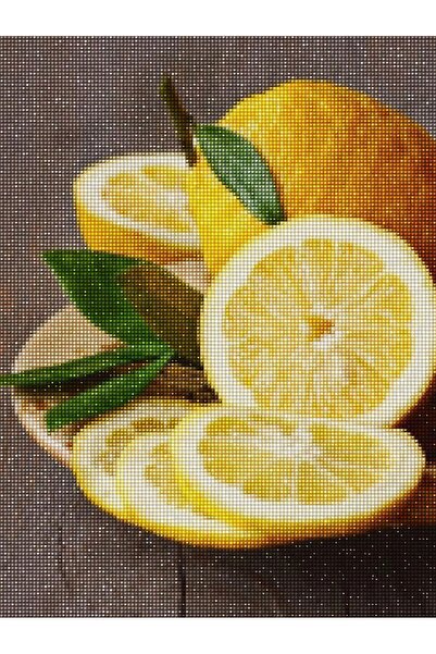MAXİ Limonlar - Diamond Painting, Elmaslı Goblen, Mozaik Tablo, Elmas, Boncuk, Taş Işleme 30 X 40cm