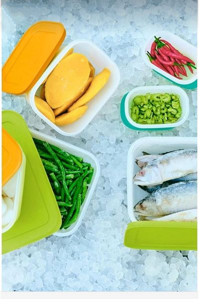 Tupperware Alaska Starter Set