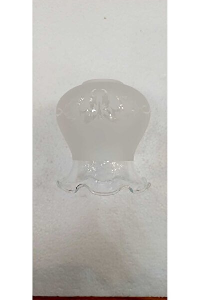 Genel Markalar Fanus Mat Avize Camı, Boy 13 Cm, Çap 11 Cm, Beyaz, Şık Ve Modern Tasarım