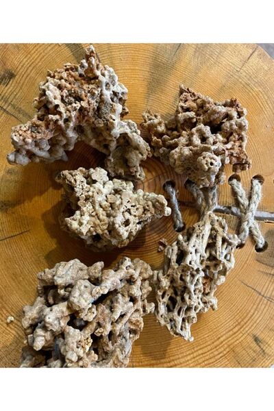 Lorien Spaghetti Kayası 6-12 Cm, Doğal Makarna Kayası, Delikli Akvaryum Ve Bahçe Dekorasyon Taşı