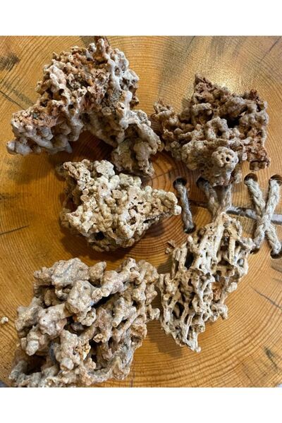 Lorien Spaghetti Kayası 6-12 Cm, Doğal Makarna Kayası, Delikli Akvaryum Ve Bahçe Dekorasyon Taşı