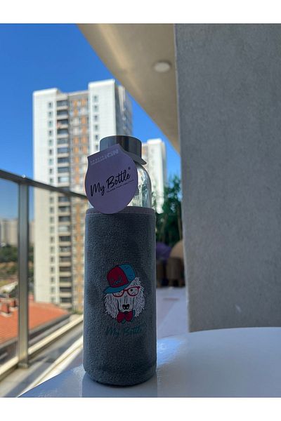 Daisy Gray Plush Water Bottle Glass Water Bottle - 500ml with Healthy Figures