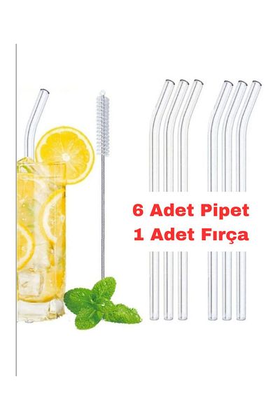 GKN Online Glass Pipette Inclined 6 Pieces and 1 Cleaning Brush Length: 20cm 8mm Thermosilicate (Heat Resistant)